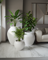 Santorini Collection - White Rusted Stone Planters (Set of 3)